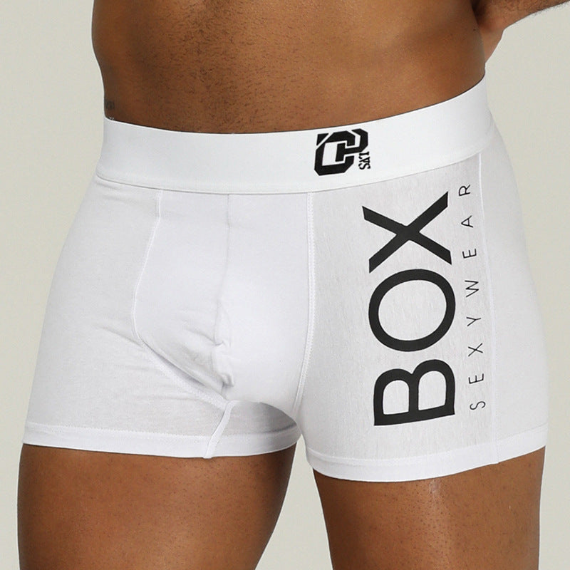 Sous-vêtements en coton pour hommes, caleçons boxers confortables